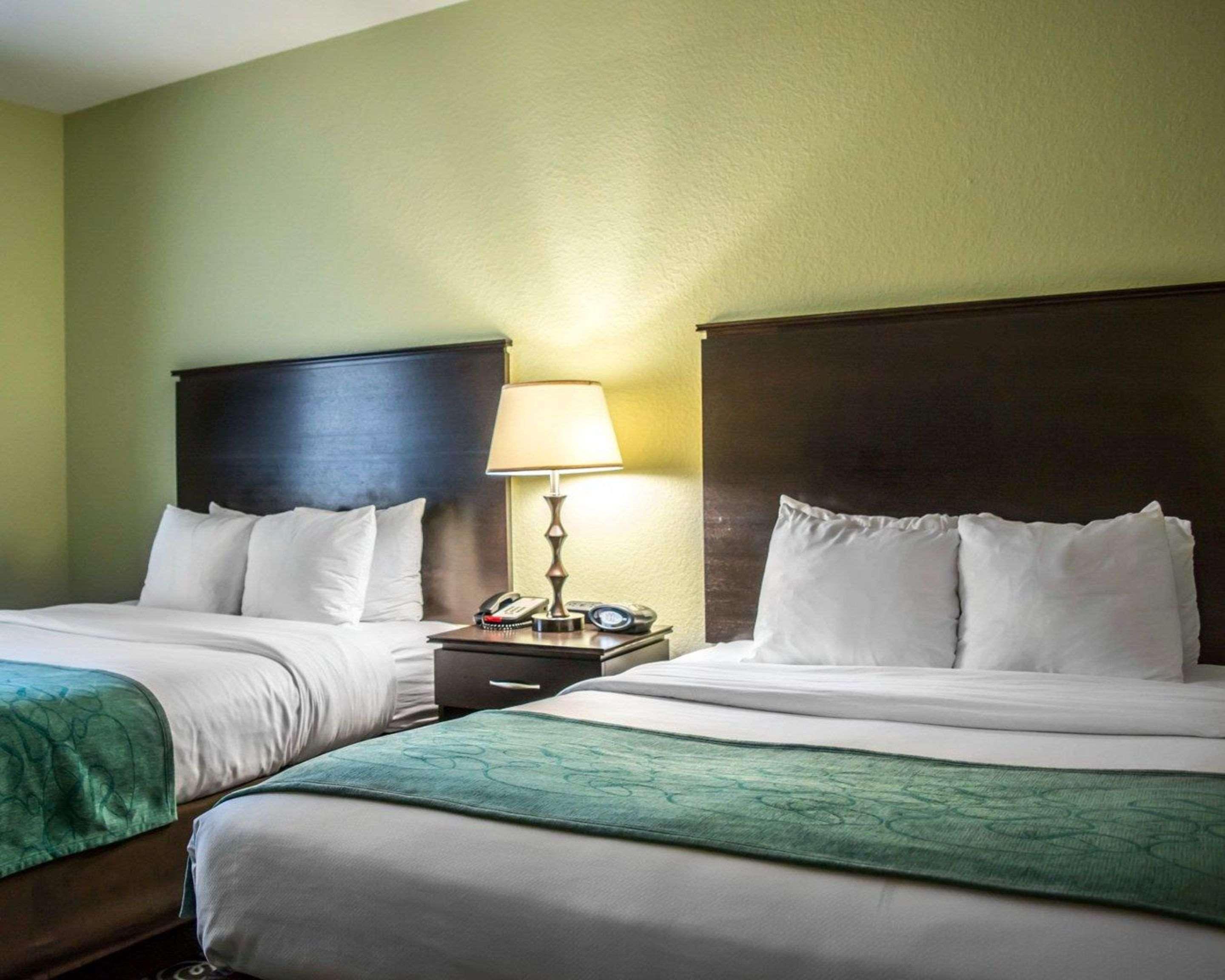 Hampton Inn By Hilton Tampa Fairgrounds Casino Екстер'єр фото
